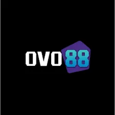 OVO88 - Balapan Seru di Jalanan